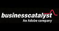 Adobe Business Catalyst